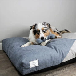 Hunde Store -Hunde Store maddy hondenkussen 190855 0500 none