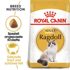 Royal Canin Ragdoll Adult - Katzenfutter
