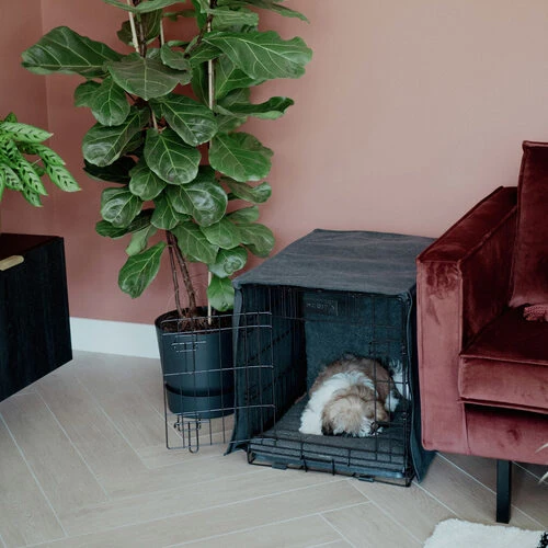 Hunde Store -Hunde Store district 70 sherpa bench mat 191723 0500 none