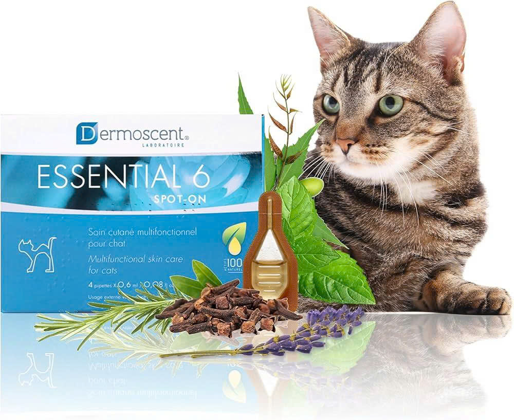 Hunde Store -Hunde Store z6696120091967 f94d2e96868bf09bcb6c163e27e42d8f